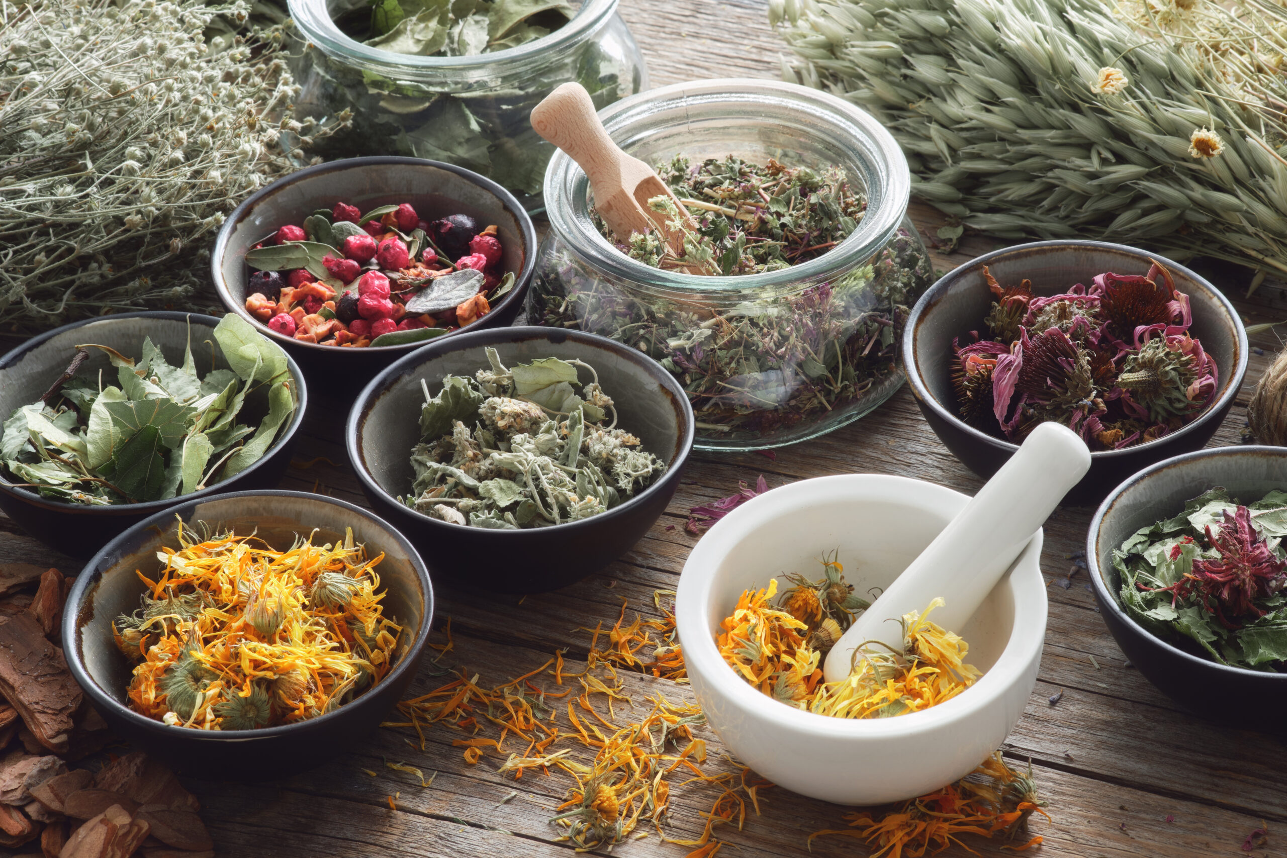 African Indigenous Medicine